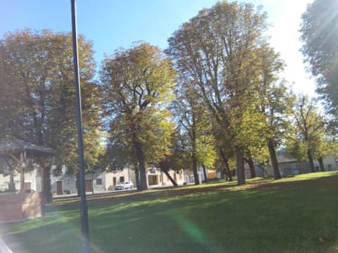 Élagueur Gensac-sur-Garonne