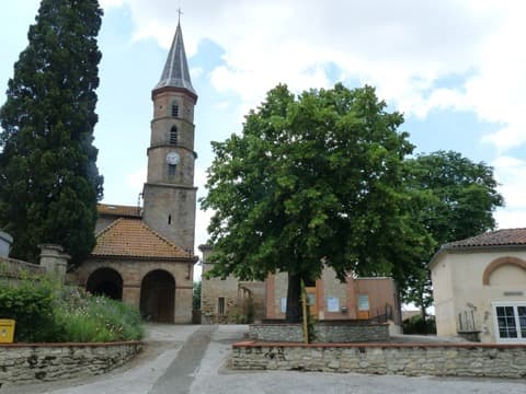 Élagueur La Salvetat-Lauragais