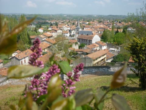 Élagueur Miramont-de-Comminges