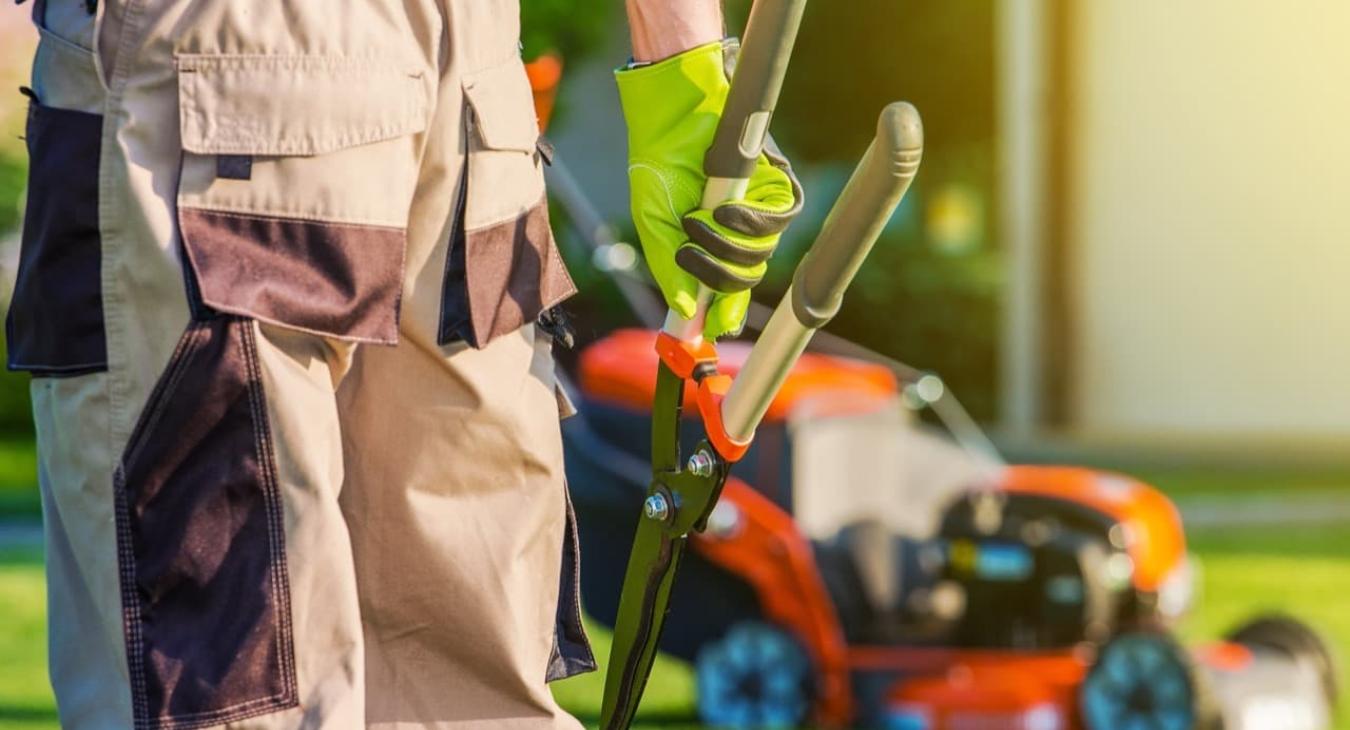 Entretien Parcs & Jardins 31 Haute-Garonne