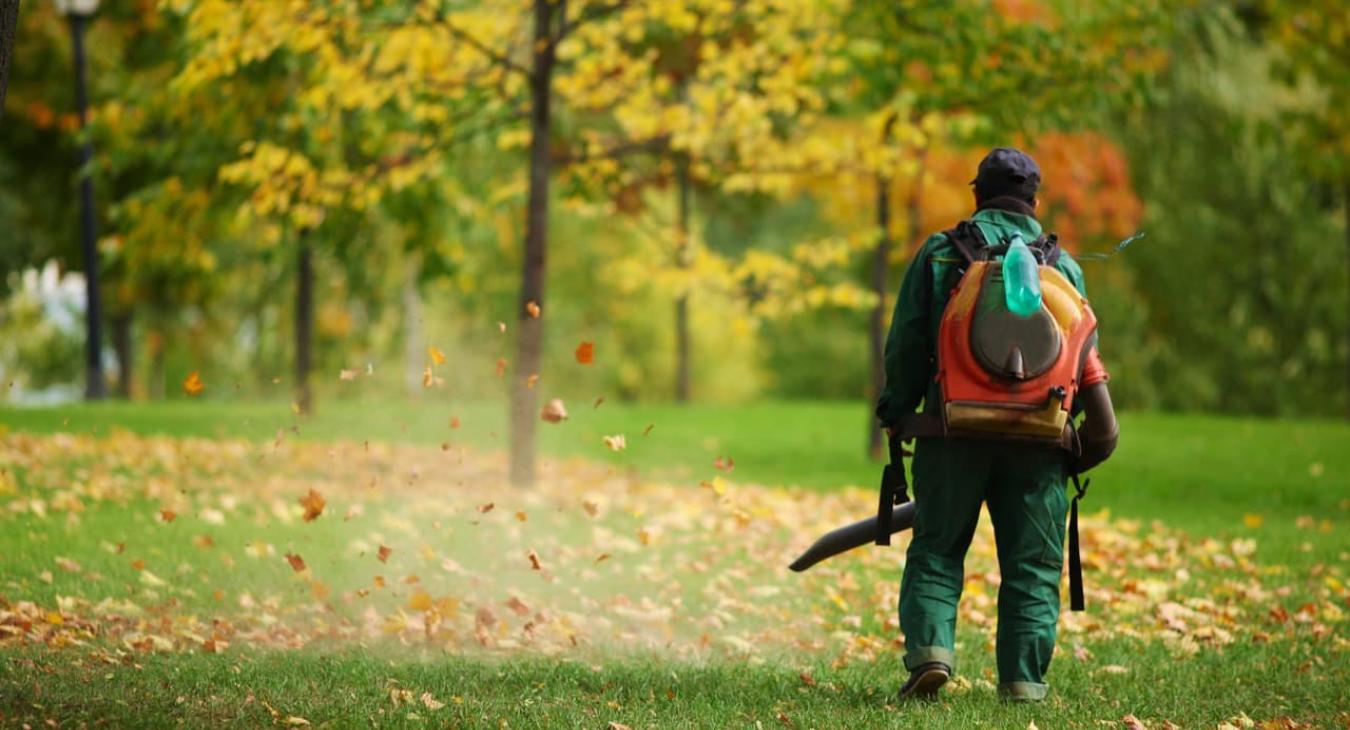 Entretien Parcs & Jardins 31 Haute-Garonne