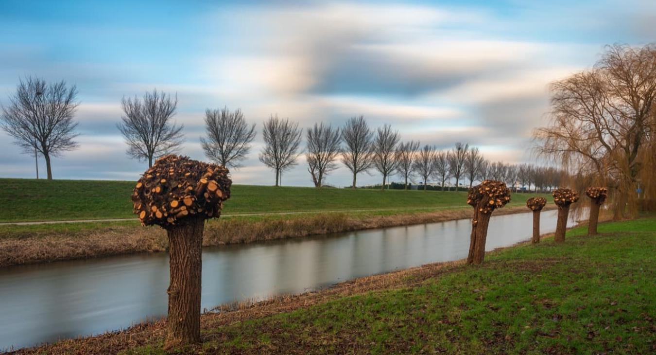 Élagage & Étêtage avec camion nacelle Haute-Garonne 31