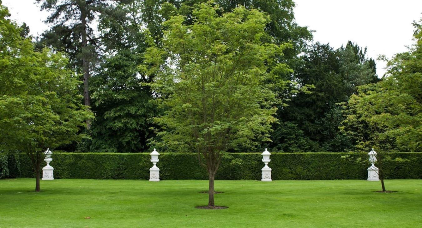 Débroussaillage & Taille de haies 31 Haute-Garonne