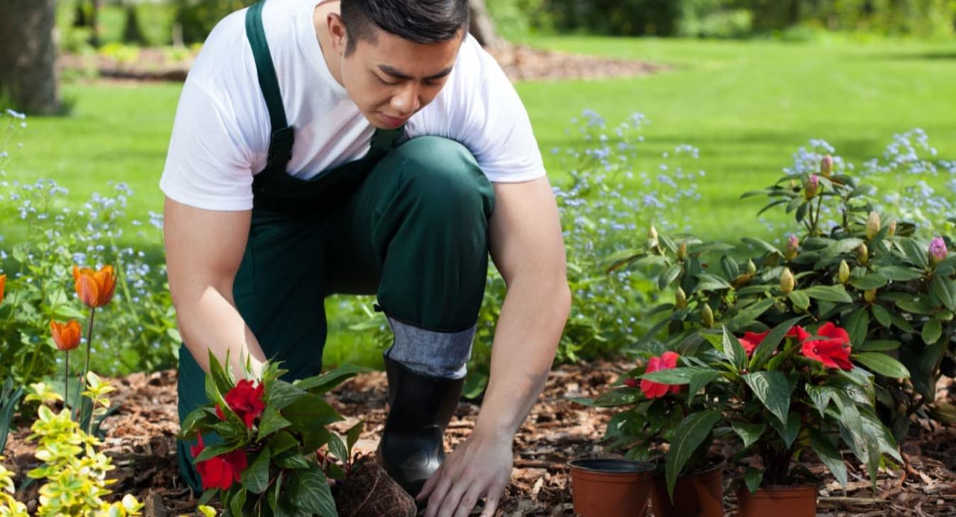 Entretien Parcs & Jardins 31 Haute-Garonne